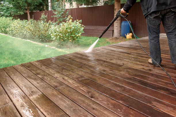 Best Solar Panel Cleaning  in Flomaton, AL